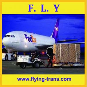 Fedex express to Holland